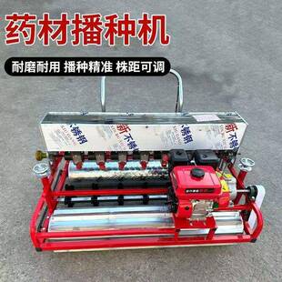 小粒种子免间苗播种机 菠菜育苗精播机 免间苗模具下种机农机