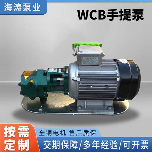 厂家供应便携式齿轮泵柴油机油润滑油倒桶电动自吸泵WCB手提泵