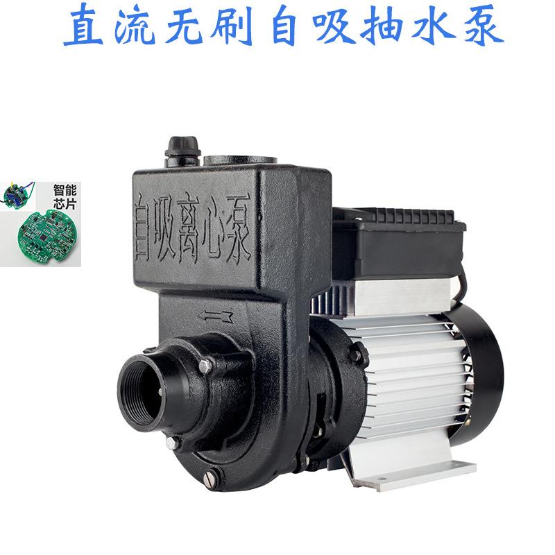 自吸泵直流电瓶48V60V72V水泵家用农用污水泵1.5寸2寸水井抽水机