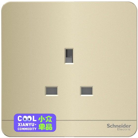 Schneider 施耐德 E83426_WG_C5 13A