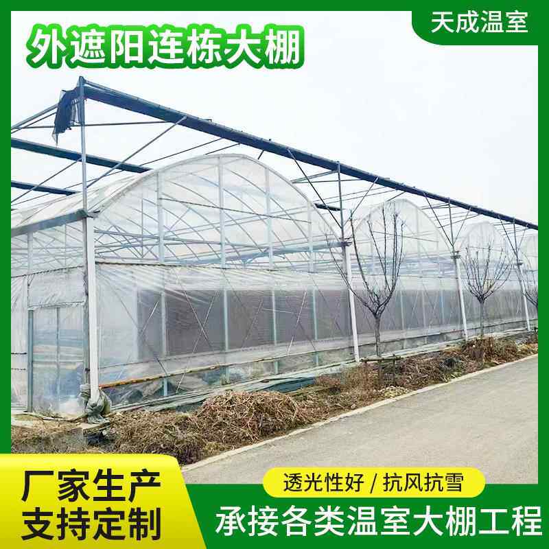 外遮阳连栋温室大棚热浸镀锌骨架管全套定做蔬菜花卉种植薄膜暖棚