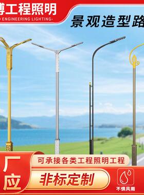 造型led景观灯庭院园林景观路灯大功率市政工程乡村单双臂道路灯