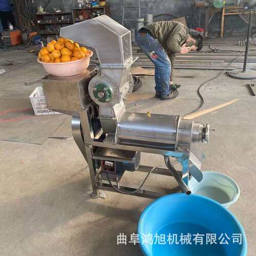 厂家出售小型不锈钢商用芦笋榨汁机 黄瓜荔枝螺旋工业榨汁机
