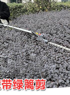 奥晟机械A40KD22高枝绿篱机手持式锂电双刃宽带绿篱机园林修枝剪