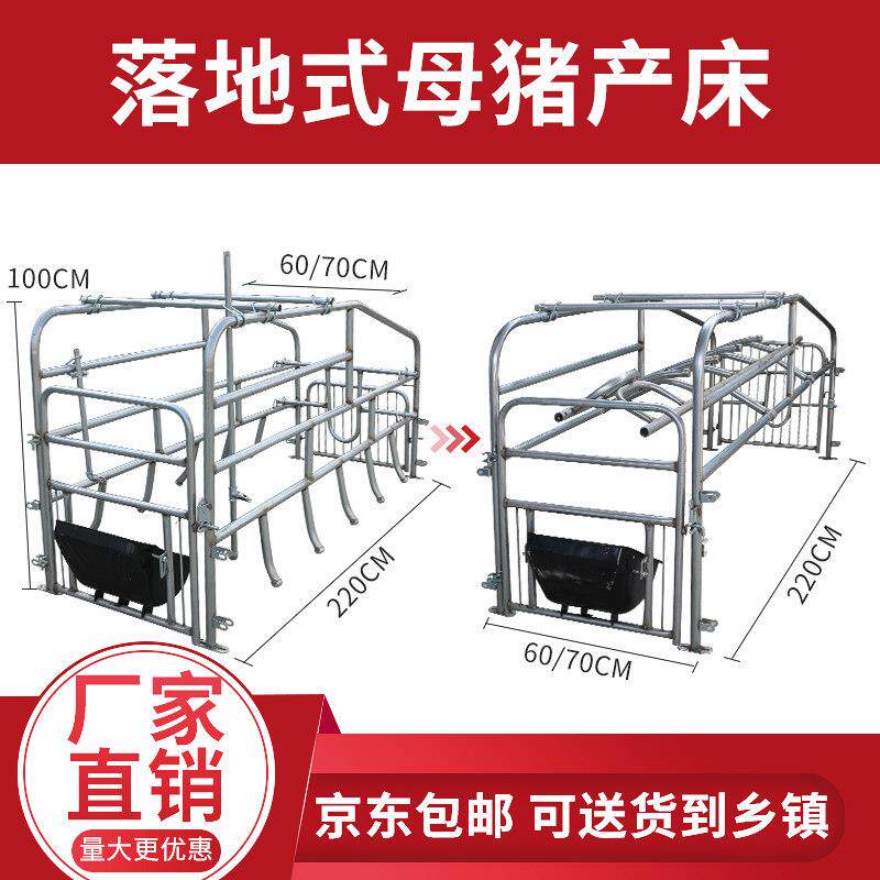 落地式母猪产床不锈钢槽加厚单体母猪定位栏简易产床产保两用产床