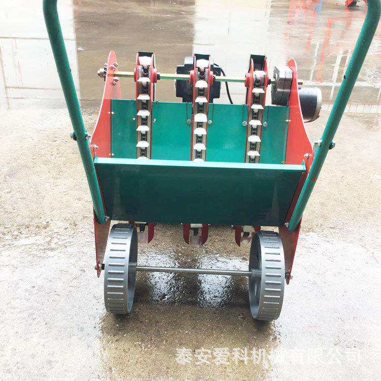 河南鹤壁单行大蒜播种机手推电机版行距株距可调有视频2行种蒜机
