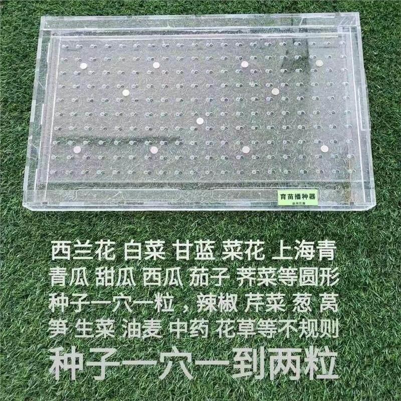 育苗盘播种器播种机穴盘播种器漂浮盘播种器播种神器播种机点种器