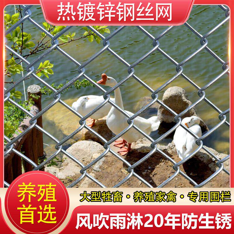 热镀锌铁丝网围栏栅浸栏户外养殖防护钢丝网果园圈养鸡牛羊安全拦