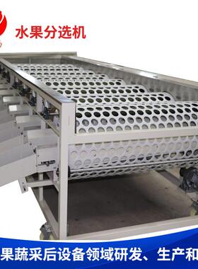 6GF-4水果分选机