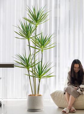 客厅彷真绿色植物龙血树大型假树植物盆栽高端轻奢室内落地装饰摆