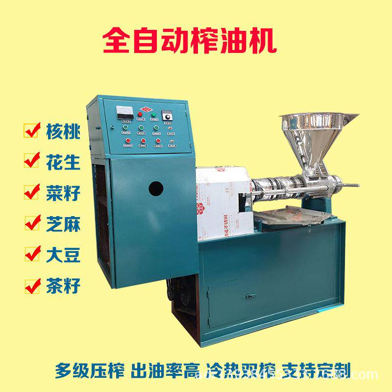 榨油机商用出油率高100型菜籽棕榈果榨油机设备带壳山核桃榨油机