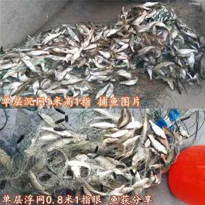 单层加重渔网5678分眼小鱼网粘网丝网捕鱼网沉网浮网餐鱼小白条网