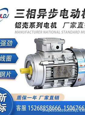 YS铝壳-0.06/0.09/0.12/0.25/0.37KW2468级厂直销三相异步电动机