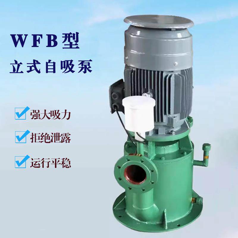 WFB型立式自吸泵65WFB-B电动自控自吸泵污水排水泵电磁阀止回阀