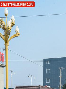 灯中华灯户UKG外6米8米1照0米1场2米景观庭院灯路广玉兰灯明高杆