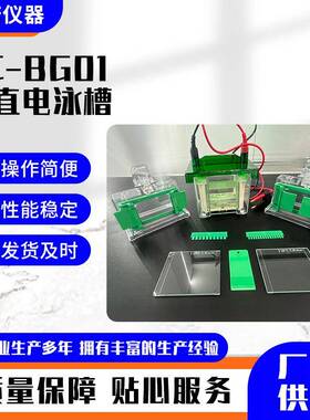 EC-BG01-垂直电泳槽通用电泳仪电源迷你垂直电泳仪玻璃