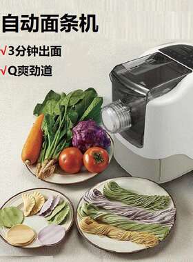 直销面条机家用小型电动全自动压面机外贸pastamaker