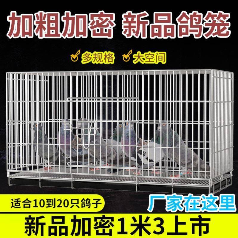 不锈钢鸽子笼养殖笼大室外二层鸟笼大全大空间鸽子笼子特大专用图片