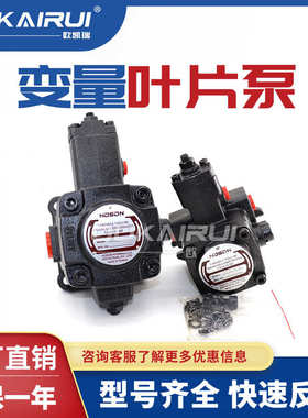 台湾泓圣液压油泵变量叶片泵VP20 VP30 VP40双联泵VPDF低压泵VPSF