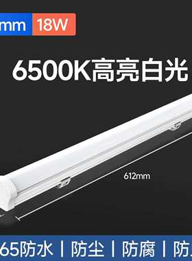 佛山照明三防led长条灯一体化灯管办公灯吸顶家用条形1.2米支架灯