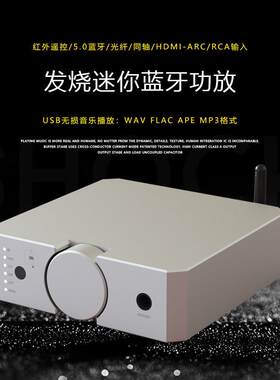 hifi品牌大功率蓝牙迷你高品质纯音响高端功放机发烧级小型数字