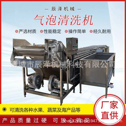 果蔬气泡清洗机商用西红柿圆白菜菠菜清洗机气泡清洗机厂家直销