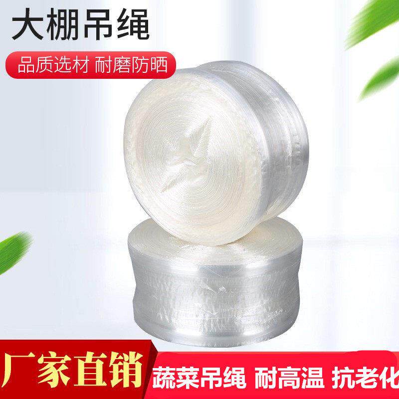 蔬菜吊绳耐高温大棚绳防老化绳网状 平板 吊蔓绳子白色吊秧绳
