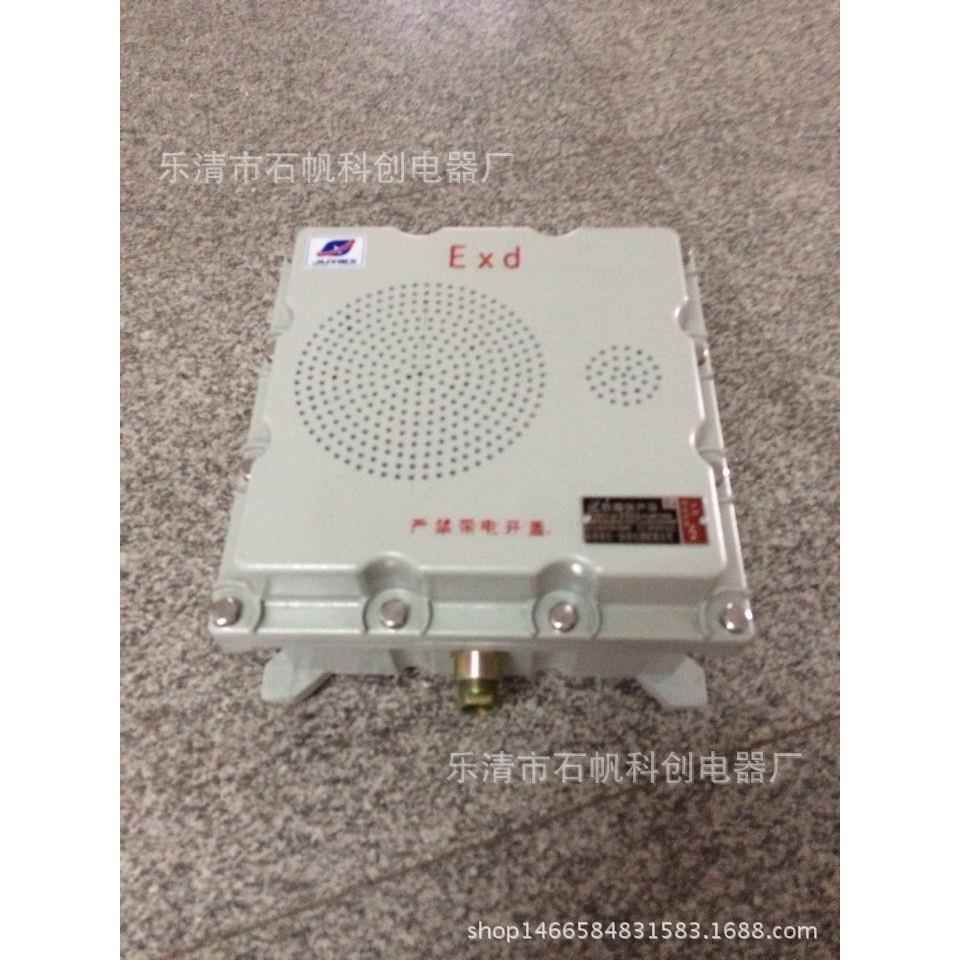 BHY-30W/100V防爆壁挂式音箱 有源防爆扬声器 壁挂式 监控