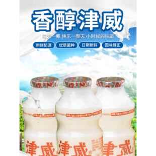 葡萄糖酸锌乳酸菌金威酸奶95/160ml整箱儿童饮料饮品原味白瓶