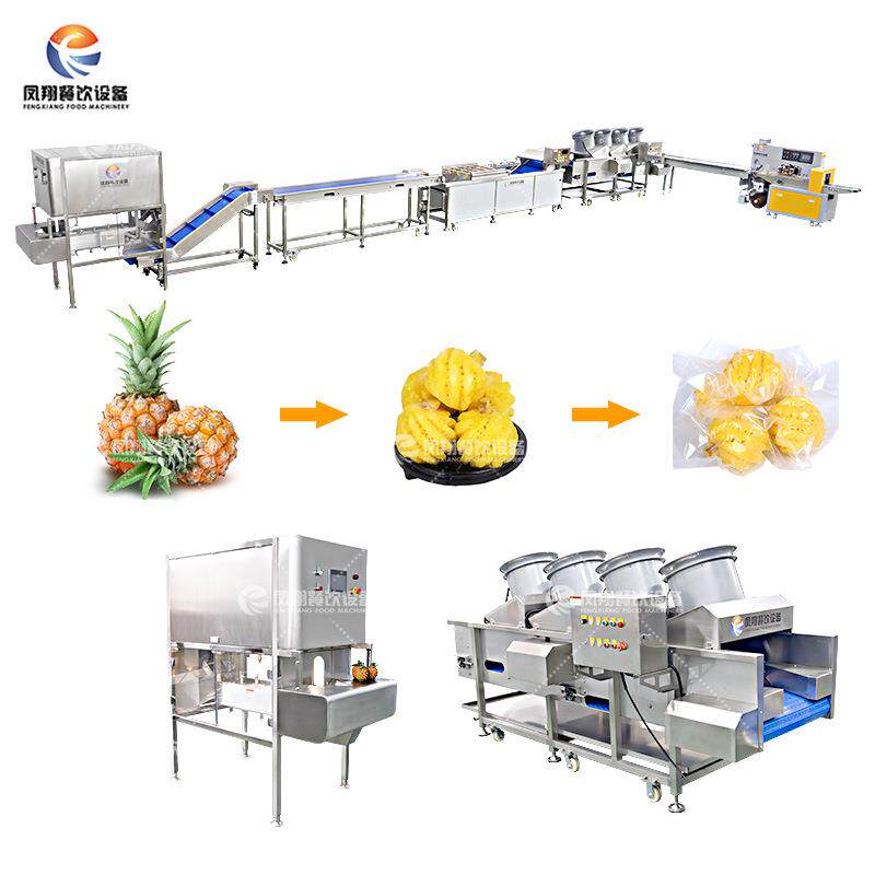 小型菠萝加工生产线全自动菠萝去皮清洗干燥和包装解决方案
