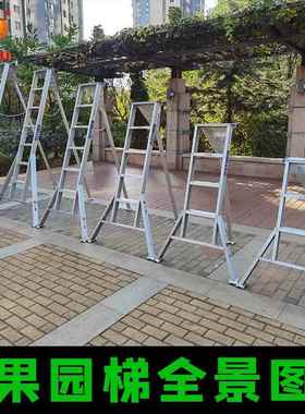 合金绿化园林修剪果艺园梯家用三果角园铝水采摘樱桃加厚YVZ三脚