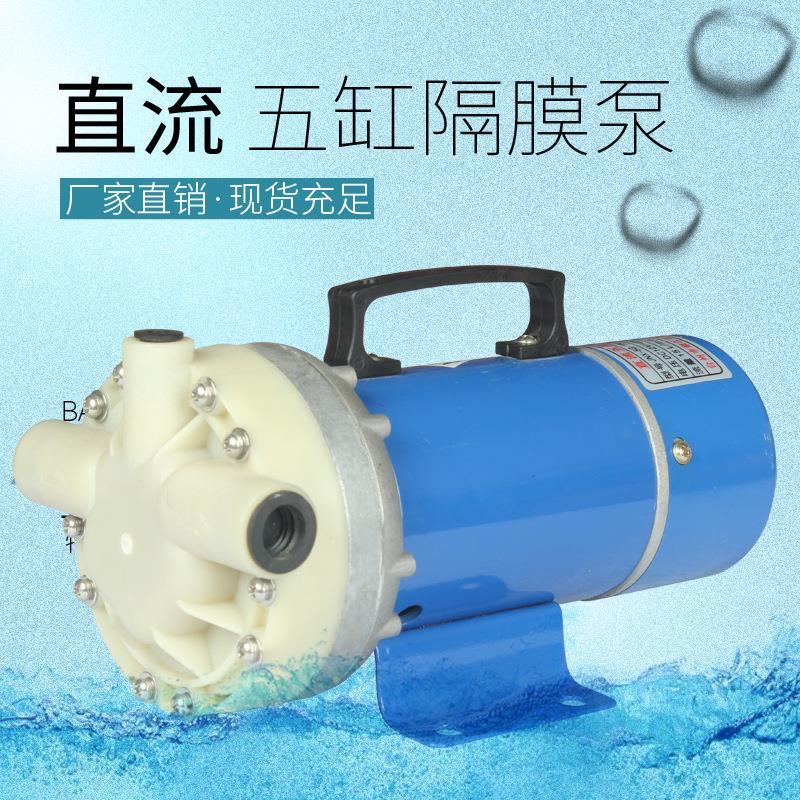 厂家直流五缸隔膜泵带风扇12v泵隔膜泵24v48v泵60v泵带管坐