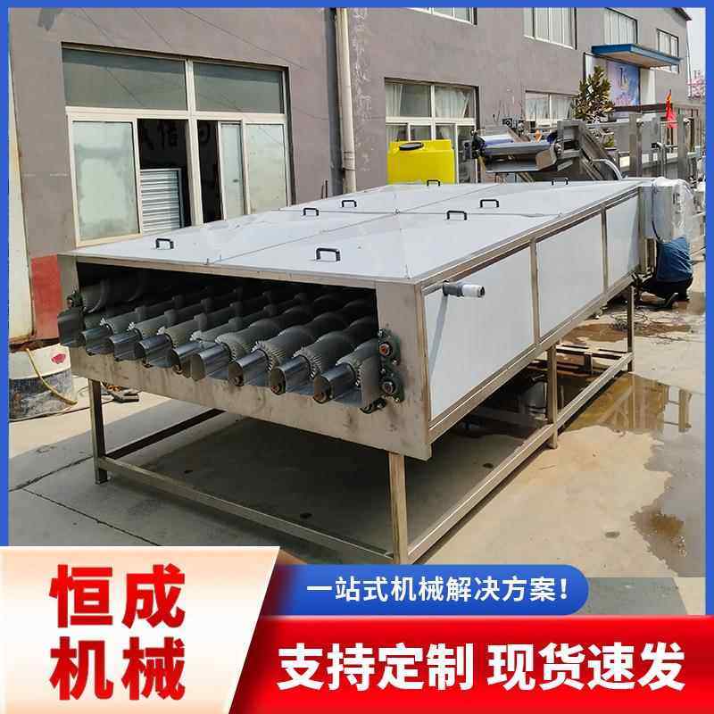 萝卜去泥清洗机白萝卜胡萝卜青萝卜红萝卜鲜萝卜去杂清洗设备