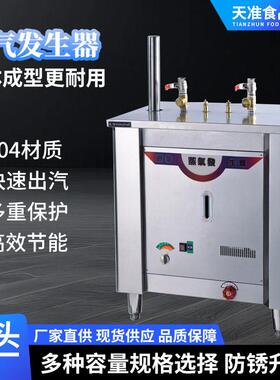 蒸饭蒸菜加热蒸汽发生器食品加工酿酒专用电热燃气两用蒸汽发生炉