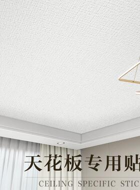 房顶装饰遮丑天花板防水贴纸自粘屋顶专用墙贴卧室吊顶材料自装贴