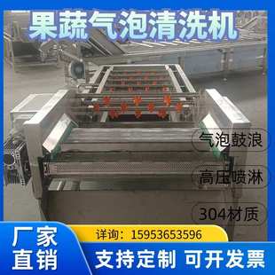 气泡清洗机果蔬清洗设备水果蔬菜洗菜机去泥设备海产品药材清洗机