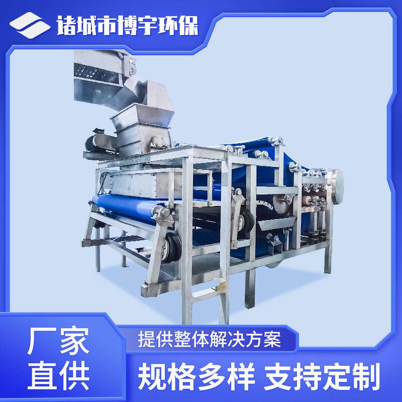 博宇梨清洗榨汁机器全自动工业大型水果破碎榨汁机