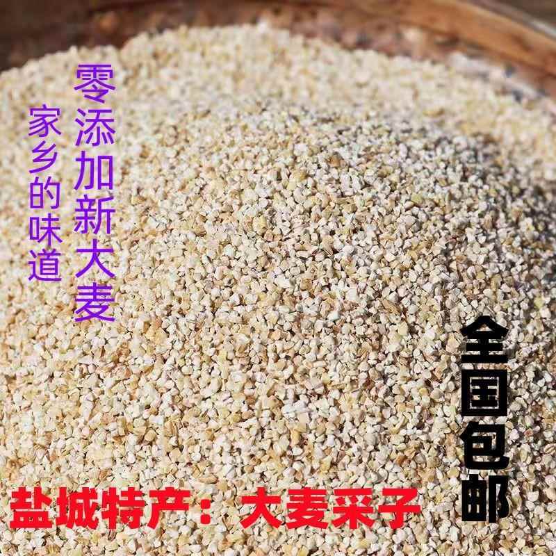 现货苏北盐城特产五谷杂粮大麦釆子大麦糁大麦面大麦米杂粮米杂粮