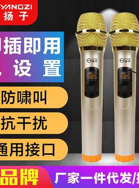 麦克风动圈式一拖二家用直播声卡功放机音响音箱适用话筒双声道