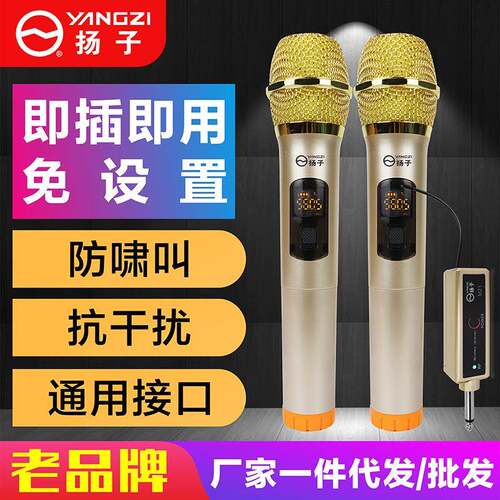 麦克风动圈式一拖二家用直播声卡功放机音响音箱适用话筒双声道