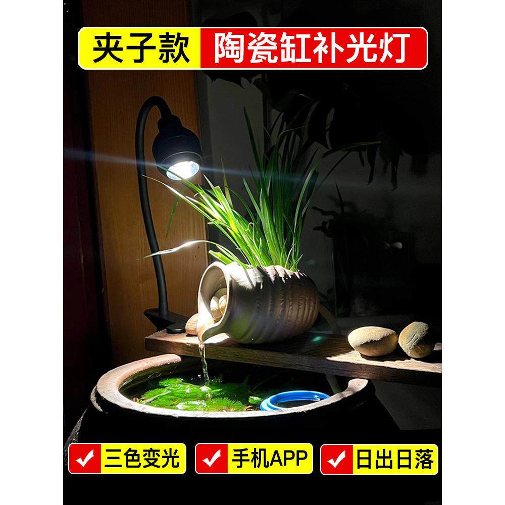 水缸养鱼灯变焦古法鱼陶瓷原生溪流缸补光灯族观赏照明led水草灯