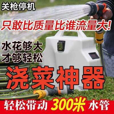 充电式抽水小泵型家DWQ用户外浇菜器手提便携式农神用灌溉锂电抽