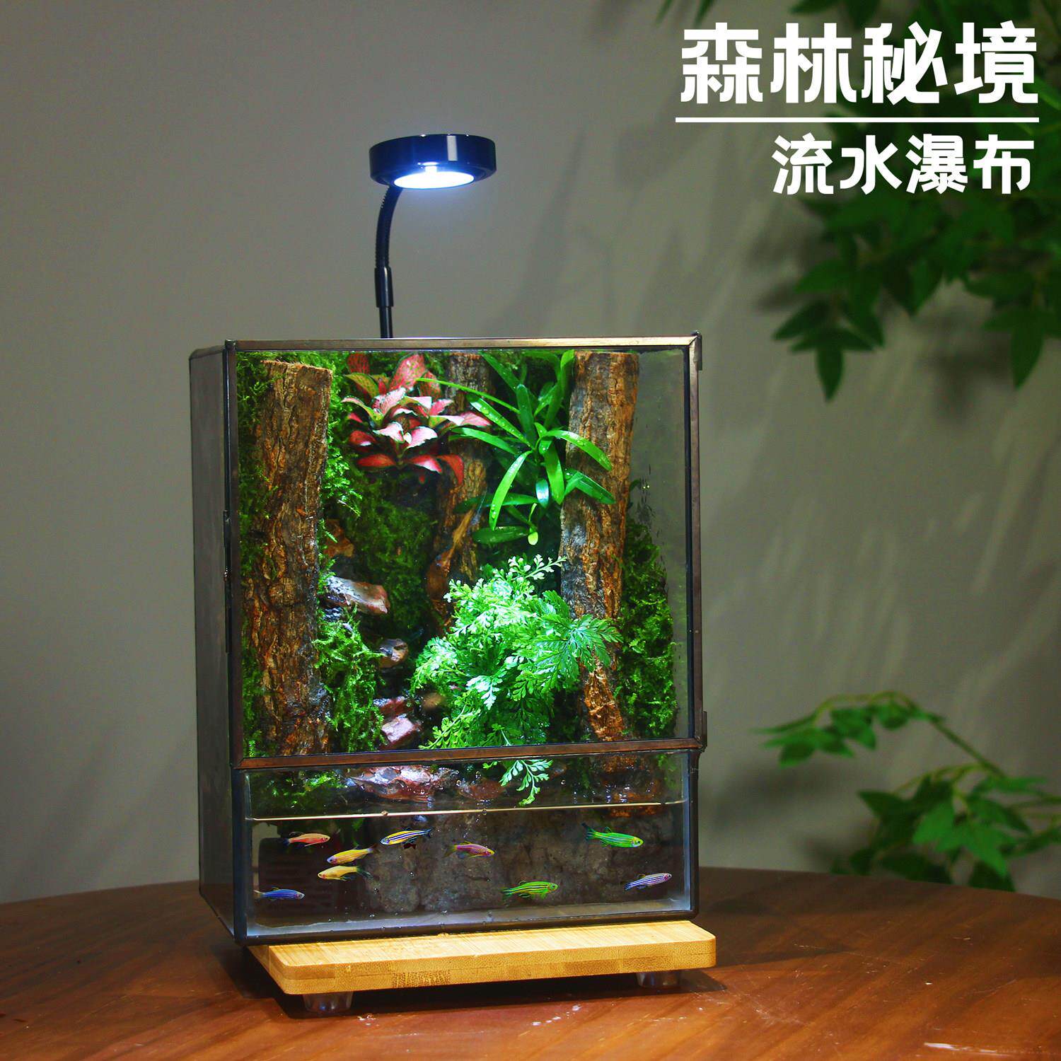 创意苔藓微景观流水生态瓶室内桌面盆栽闷养迷你植物盆景绿植养鱼