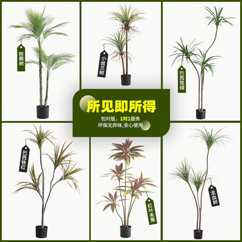 仿真植物巴西铁盆栽仿真绿植龙血树假树北欧网红绿植客厅装饰盆栽