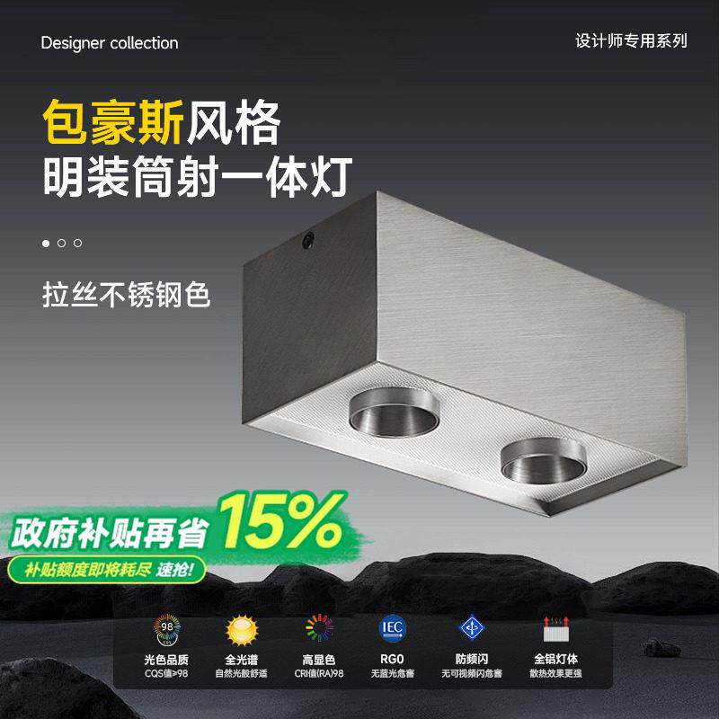 双头明装包豪斯筒灯射灯一体不锈钢银色客厅无主灯斗胆吸顶灯超薄