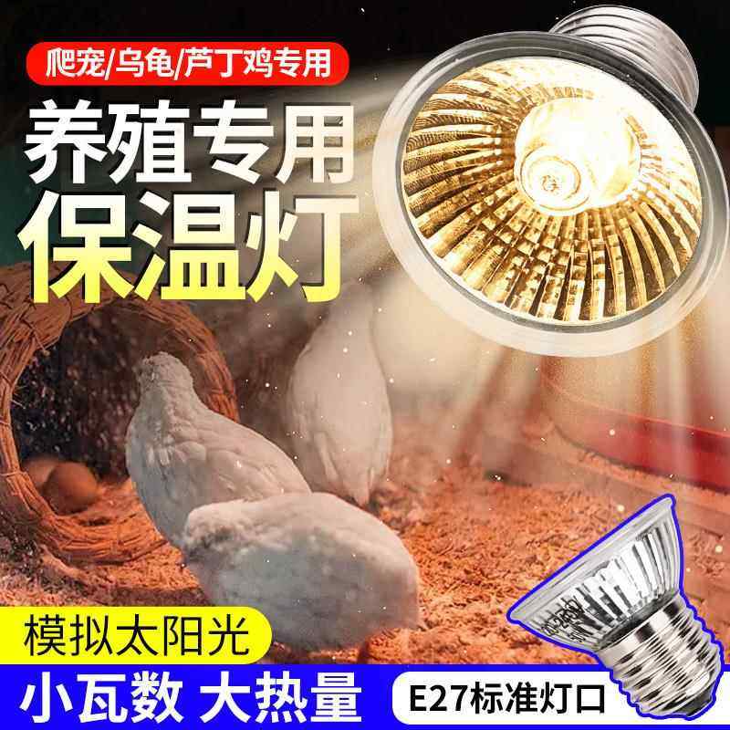 小鸡育雏保温灯芦丁鸡加热灯加温灯太阳灯鸡用取暖灯乌龟保暖灯泡,畜牧/养殖物资,养殖保温灯,淘宝优惠券,粉丝福利购,淘宝优惠卷