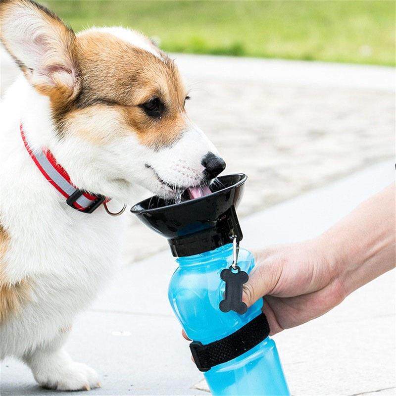 宠物狗狗外出水壶喝水杯子水碗便携式饮水器水车载遛狗户外随身