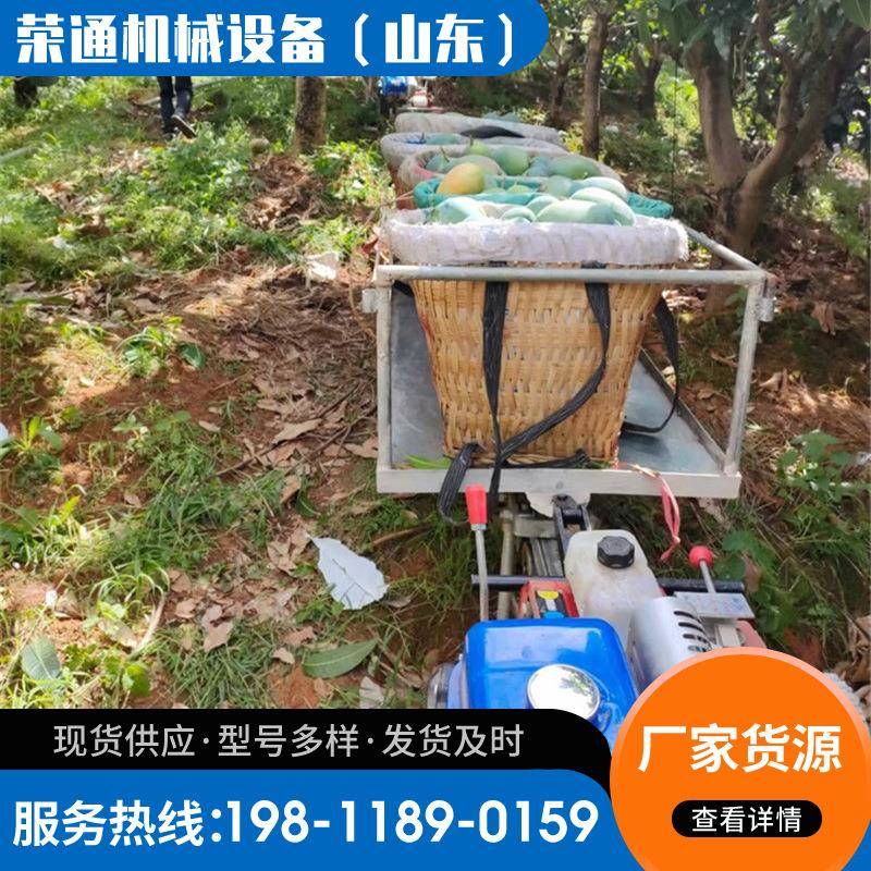 山地果园单轨运输车 自走式大马力汽油机爬坡载货搬运轨道运输车