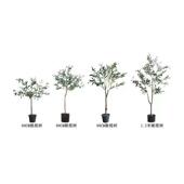 饰品加密盆栽 橄榄树室内外装 厂家批发大型仿真橄榄树盆栽 新款