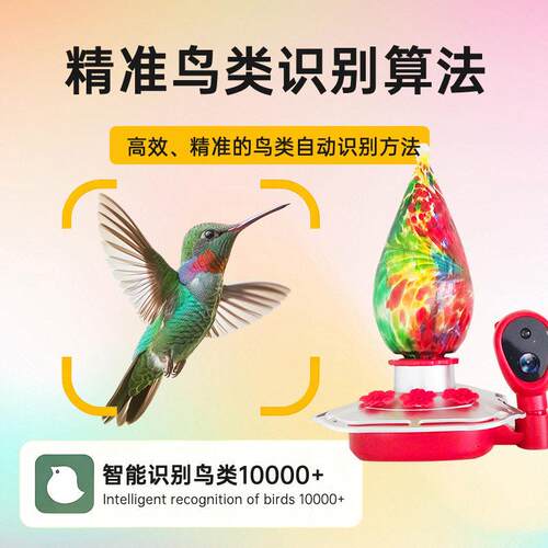 境远程控制清物喂食器鸟类识别BW2-2跨宠物饮水机智宠鸟能蜂喂水
